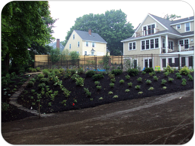 Picture of mulched garden with screened loam prepared for hydroseed